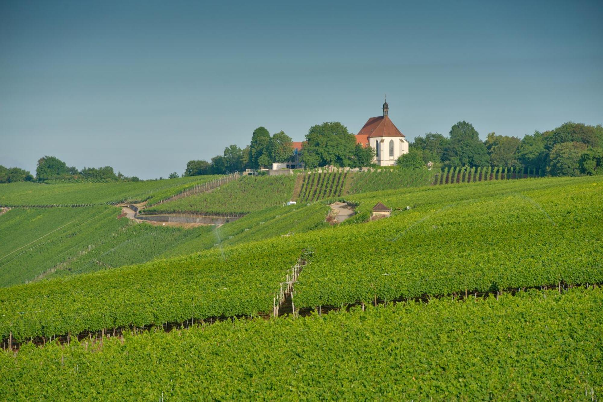 Отель Vogelsburg Escherndorf Экстерьер фото