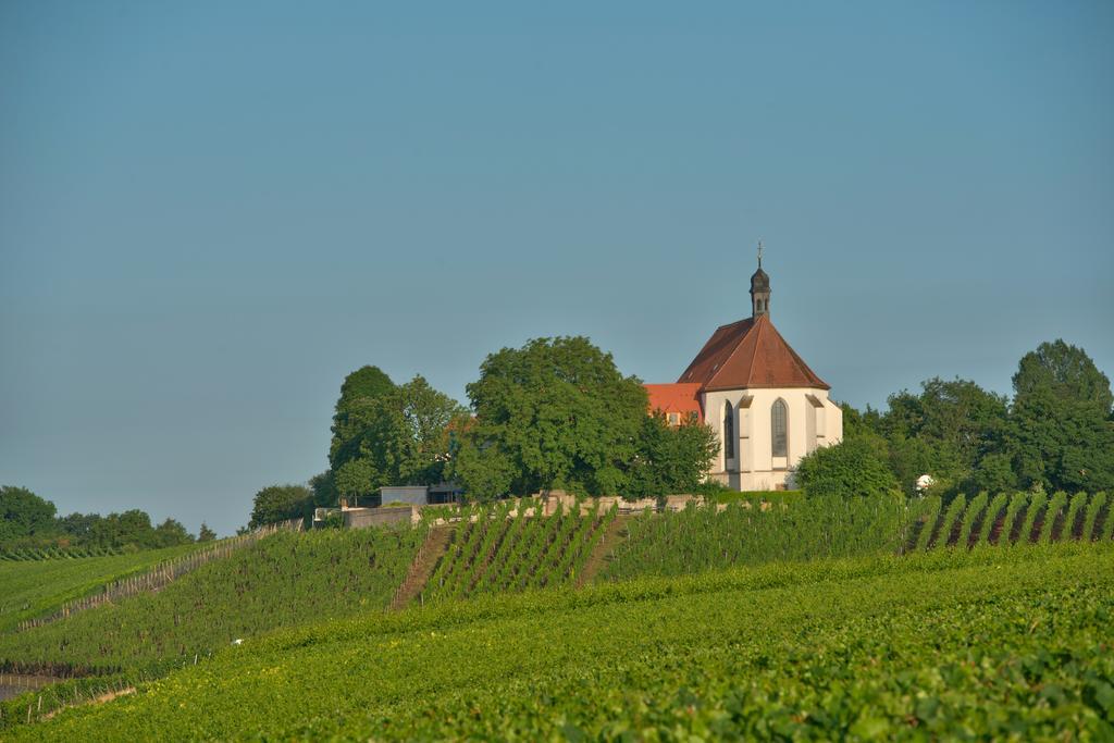 Отель Vogelsburg Escherndorf Экстерьер фото