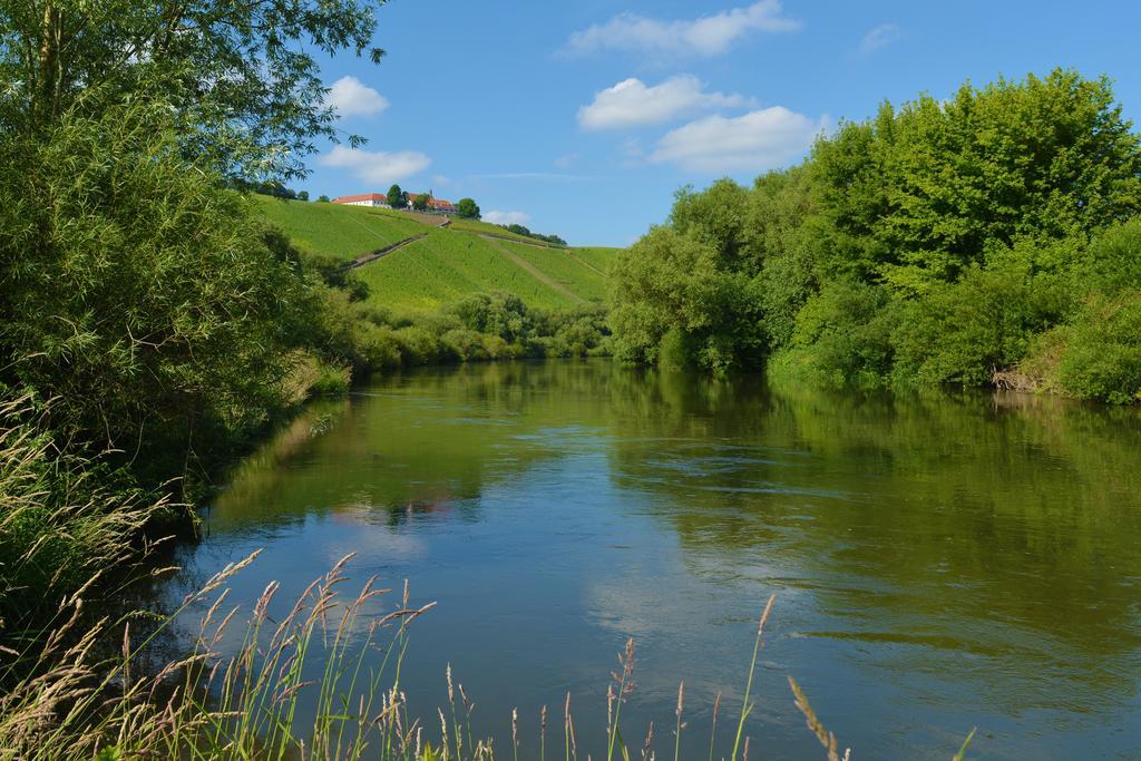 Отель Vogelsburg Escherndorf Экстерьер фото