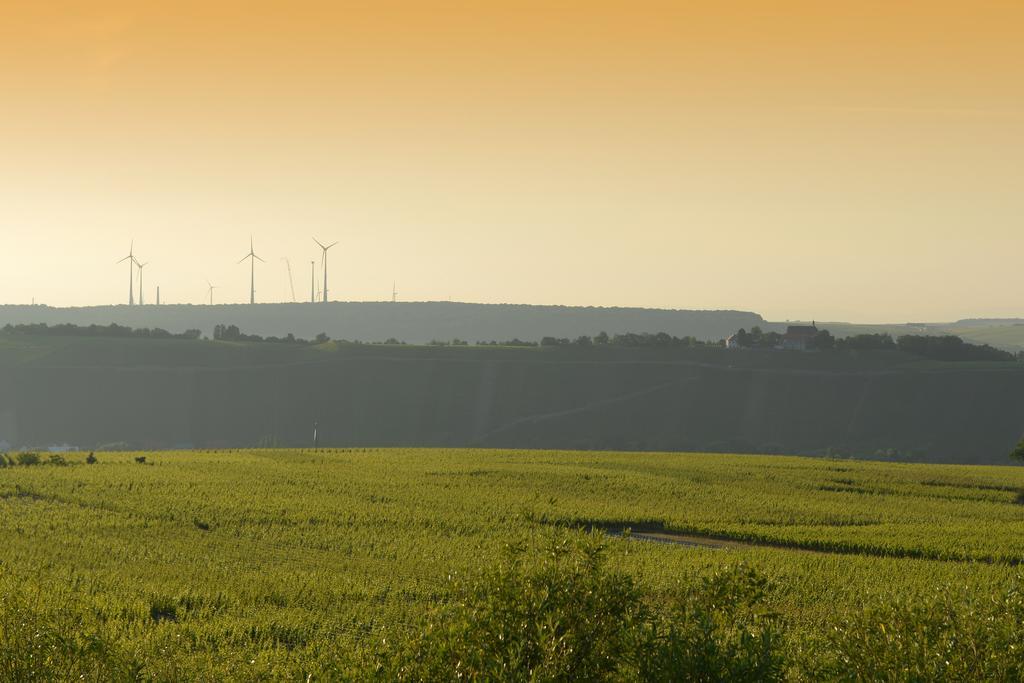 Отель Vogelsburg Escherndorf Экстерьер фото