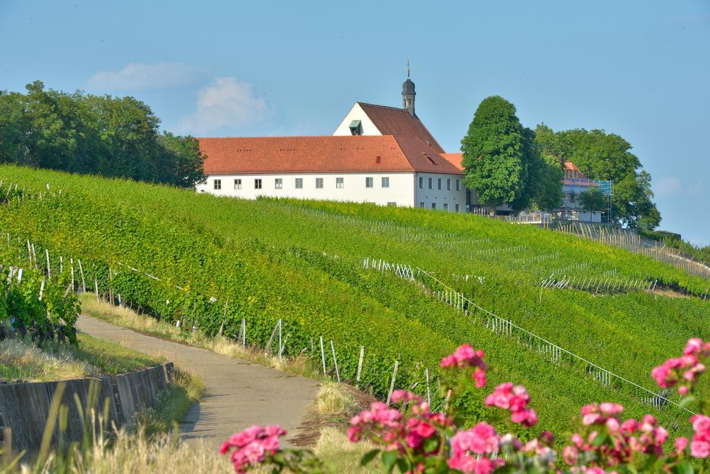 Отель Vogelsburg Escherndorf Экстерьер фото