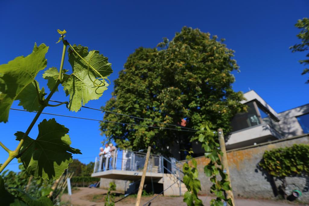 Отель Vogelsburg Escherndorf Экстерьер фото