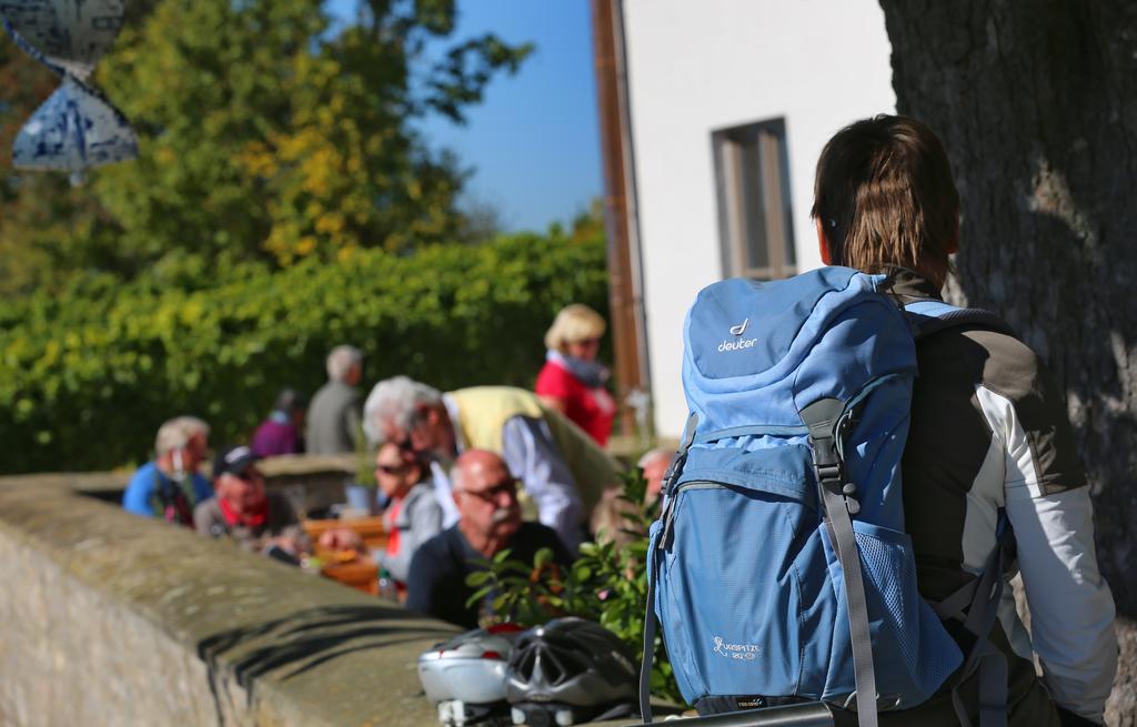 Отель Vogelsburg Escherndorf Экстерьер фото