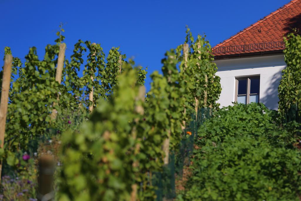 Отель Vogelsburg Escherndorf Экстерьер фото