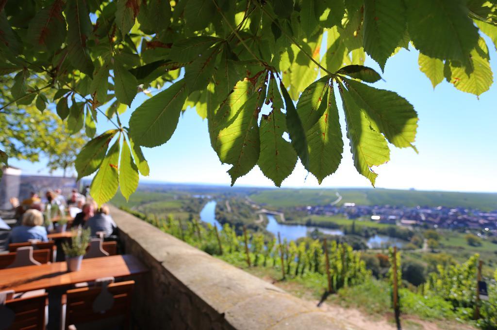 Отель Vogelsburg Escherndorf Экстерьер фото
