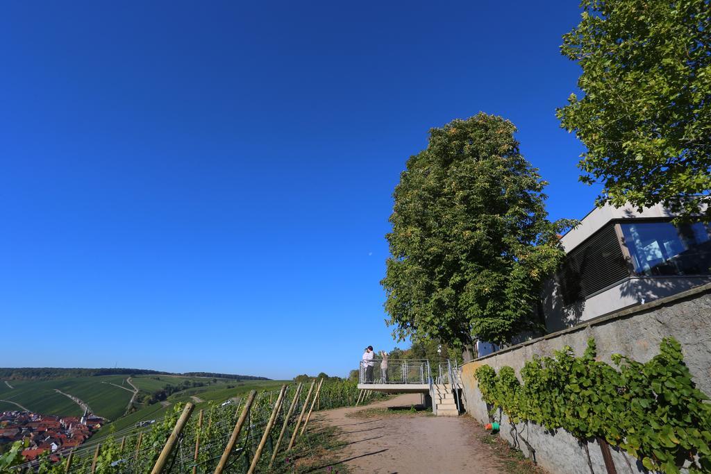 Отель Vogelsburg Escherndorf Экстерьер фото